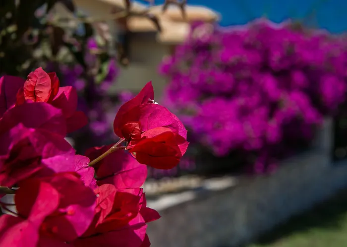 Village & By Zante Plaza (adults Only) Hotel
