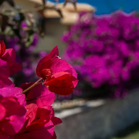 Village & By Zante Plaza (adults Only) Szálloda